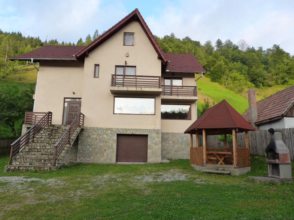 Villa Roua Bran  Rom bilde