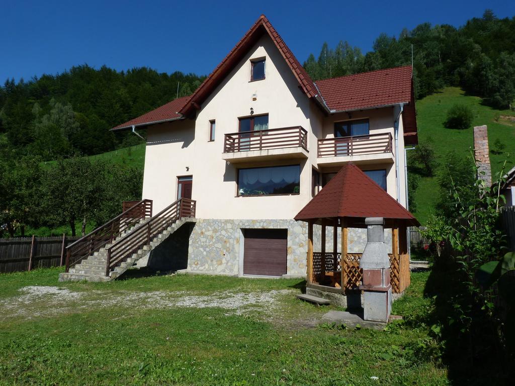 Villa Roua Bran  Rom bilde